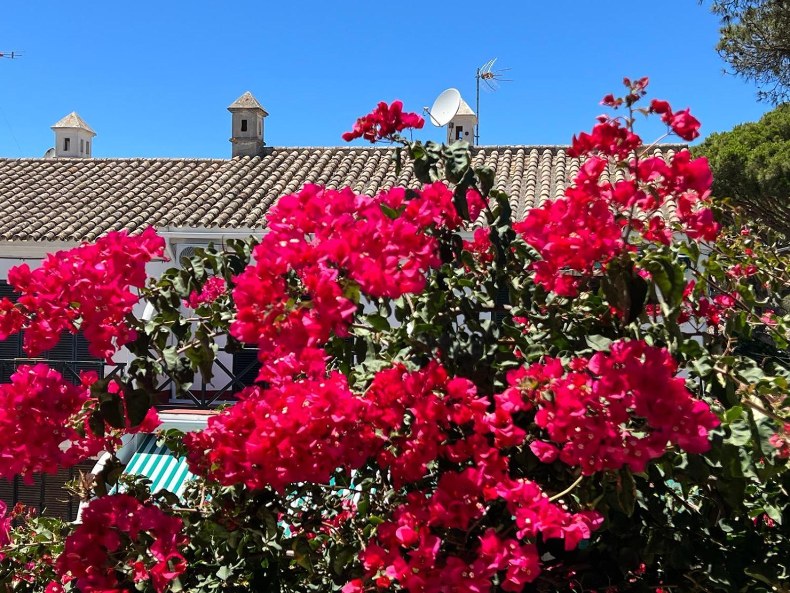 La Buganvilla Chiclana de la Frontera Esterno foto